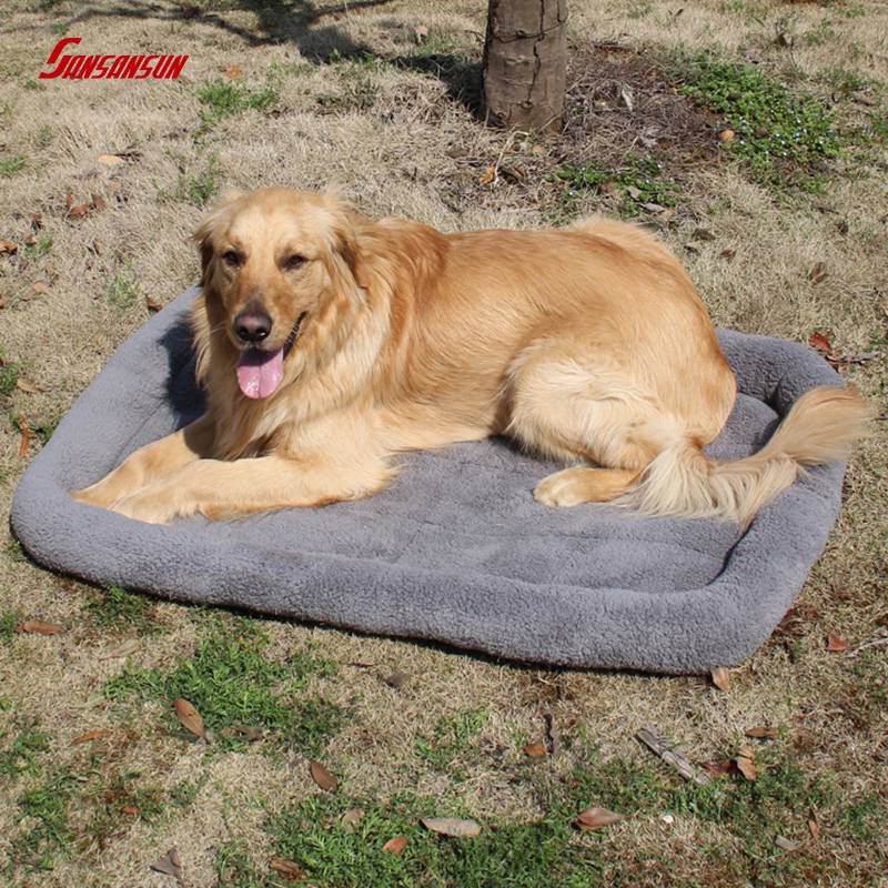 dog proof dog bed