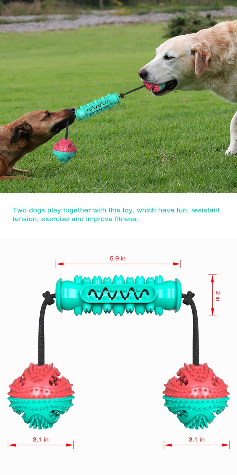 tough chew toys