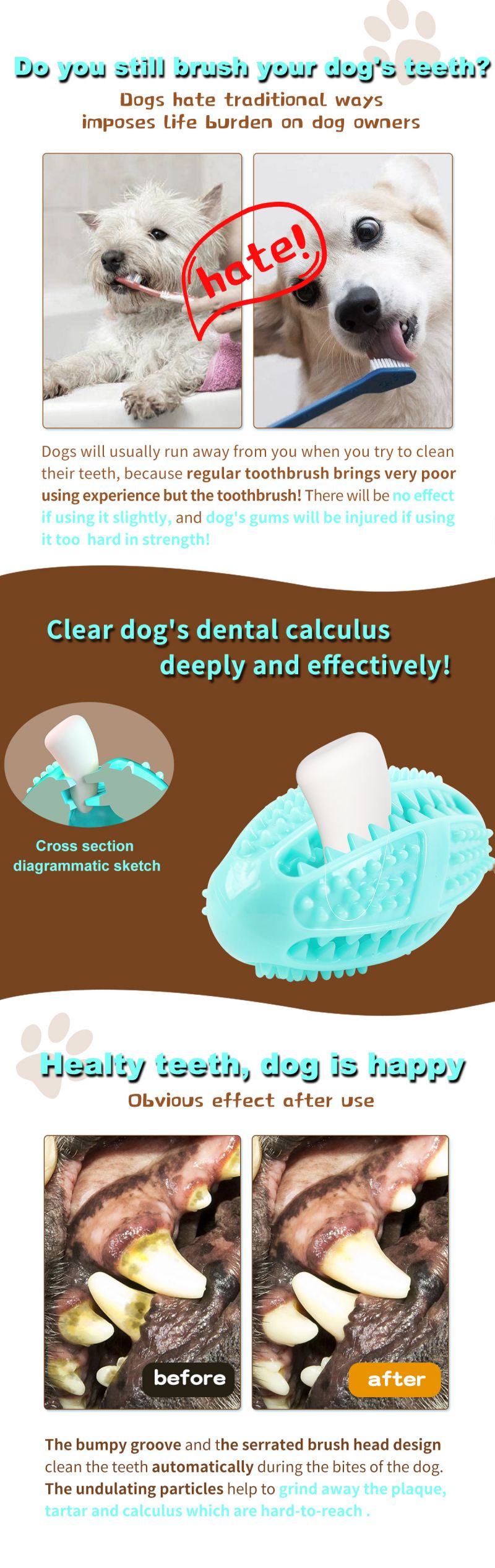 jolly ball for dogs
